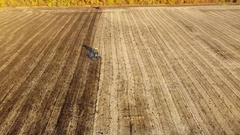 A flock of birds flies over a tractor working in the field. Aerial view. Stockbeeldmateriaal 140900686