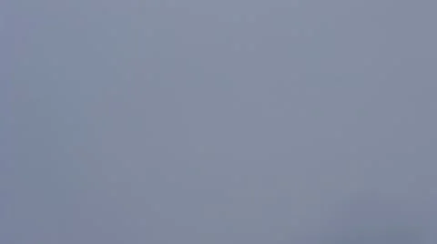 Flock of birds fly on background of grey sky in overcast weather Stock Footage 50856369