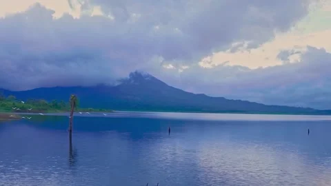 Flock of birds fly over serene lake water and mountain for nature video Stock Footage 344354678