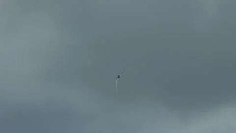 Flock of birds flying across cloudy sky in slow motion 動画素材 314670390