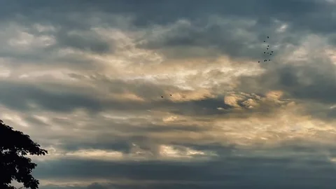 Flock of Birds Flying Across Dramatic Storm Clouds at Sunset Stock-Footage 345980870