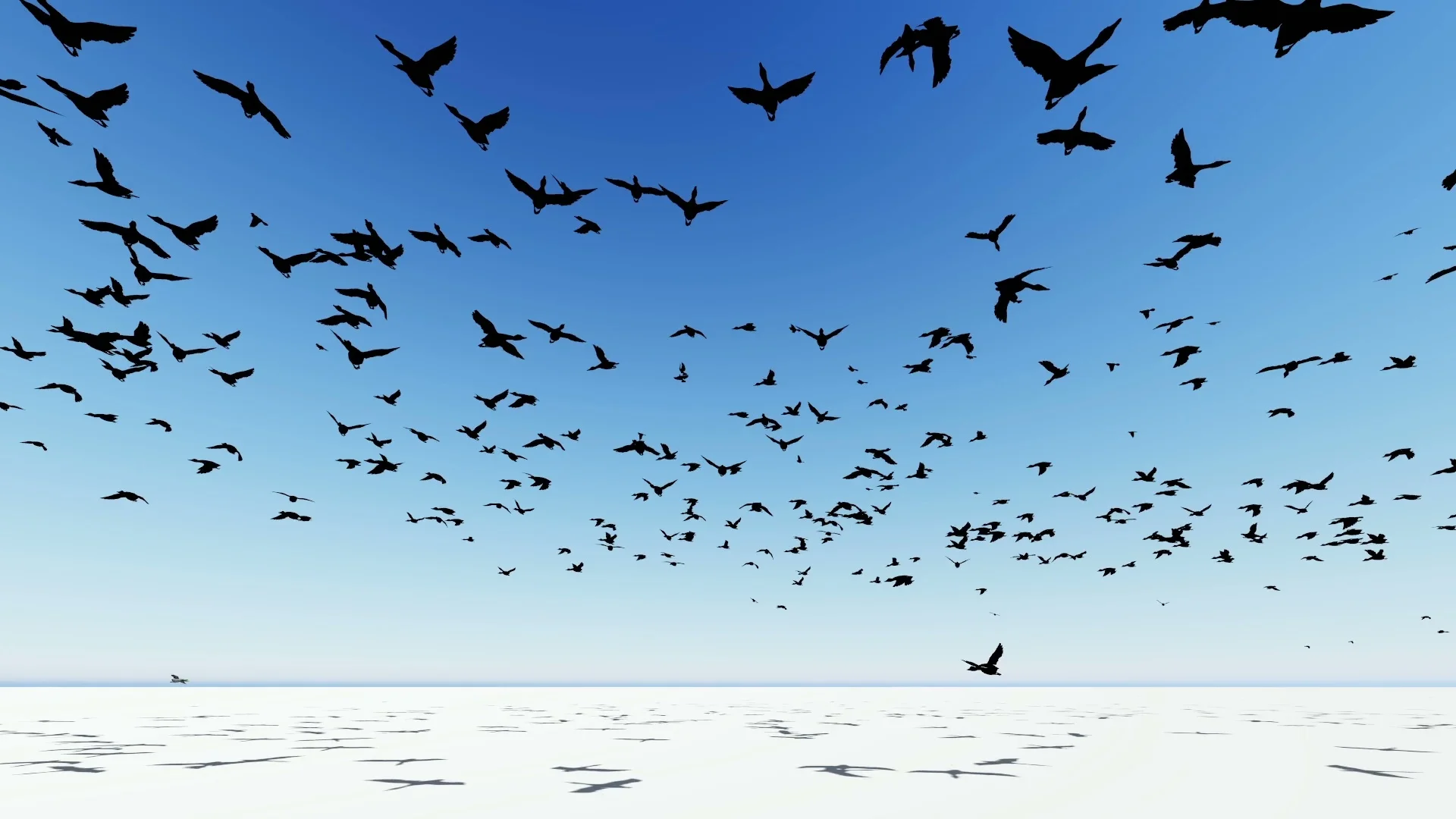 Flock of birds flying across the screen... | Stock Video | Pond5