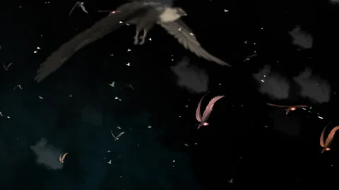 Flock of Birds Flying in Cloudy Dark Nocturnal Sky, Animation Stock Footage 299927743