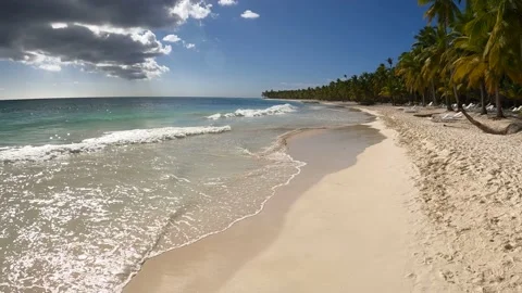Flock of birds flying on an empty beach in Saona Island, Dominican Republic Stock Footage 194901085