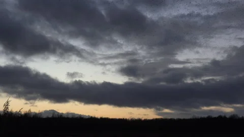 Flock of birds flying in the evening light England UK 4K 스톡 동영상 147924199