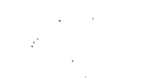 Flock of birds flying Stock Footage 305379590