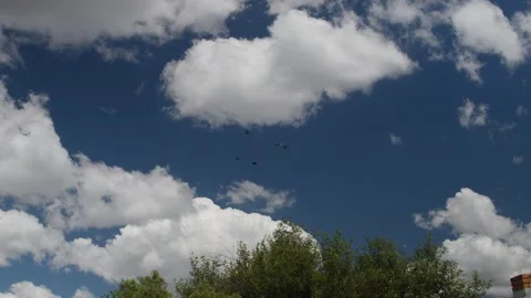 Flock off birds flying in formations on scattered clouds sky Stock Footage 227550606