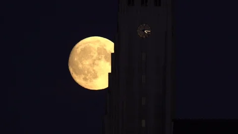 Flock of birds flying by full moon Hallgrimskirkja church Reykjavik Iceland Stock Footage 102500336