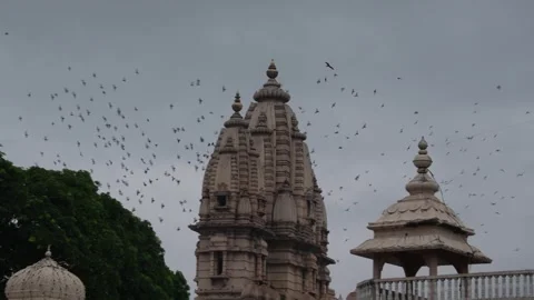 Flock of Birds Flying Over Ancient Indian Temple Dome Stock Footage 318617433