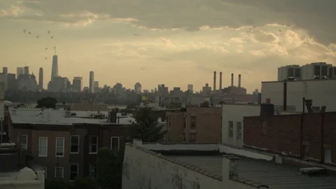 Flock of birds flying over Brooklyn rooftops. Manhattan in the background. Stock Footage