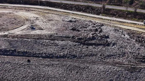 Flock of birds flying over a massive garbage dump Vídeos de archivo 338188252