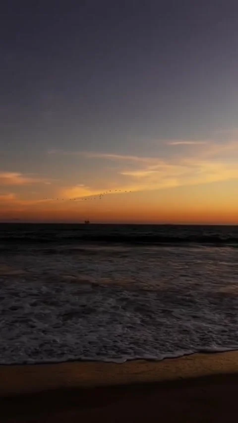 A flock of birds flying over the ocean at sunset with a distant oil rig Vídeos de archivo 334084293