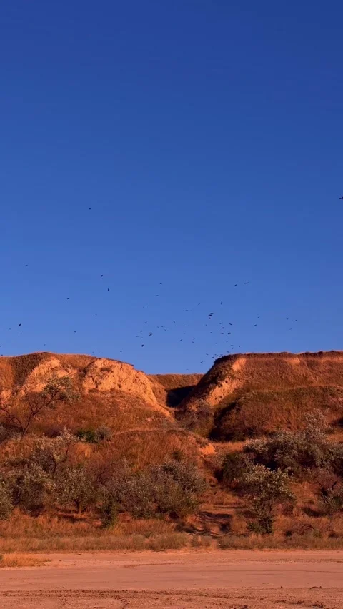 Flock of Birds Flying Over Red Clay Canyon and Blue Sky Stockbeeldmateriaal 345124043