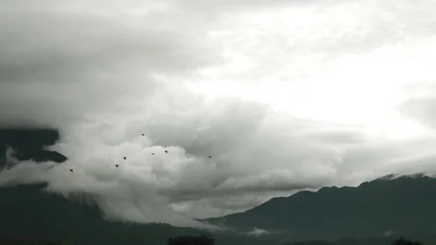Flock of birds flying Overcast cloudy covered sky and mountain landscape Stock Footage 198799545
