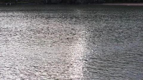 Flock of birds flying in the sky during migration, captured in natural light Video stock 321744693