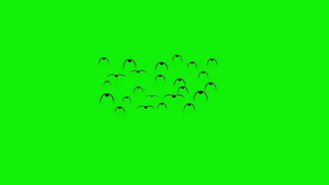 A flock of birds flying synchronized pattern front view 4k animation Stock Footage 297000548