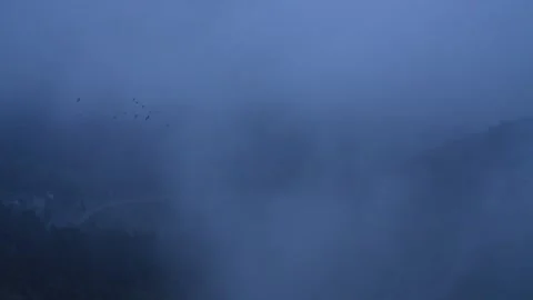 Flock of Birds Flying Through Blue Foggy Night Sky Stock Footage 308451776