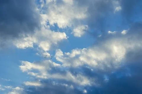 Flock of Birds Flying Through Cloudy Sky 写真素材