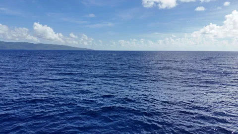 Flock of Birds Stock Footage 259692782