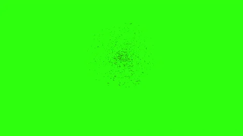A flock of birds made in 3D on chroma key Direct fly 動画素材 194860286