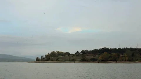 Flock of birds in nature Stock Footage 1459658