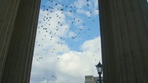A flock of birds over an ancient building with columns Stock Footage 80249128