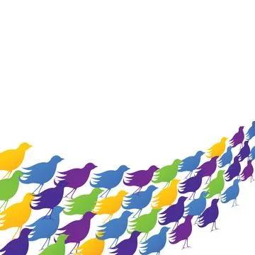 Flock of birds Stock Photos