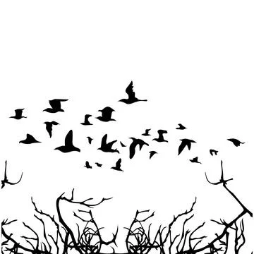 Flock of birds Stock Photos