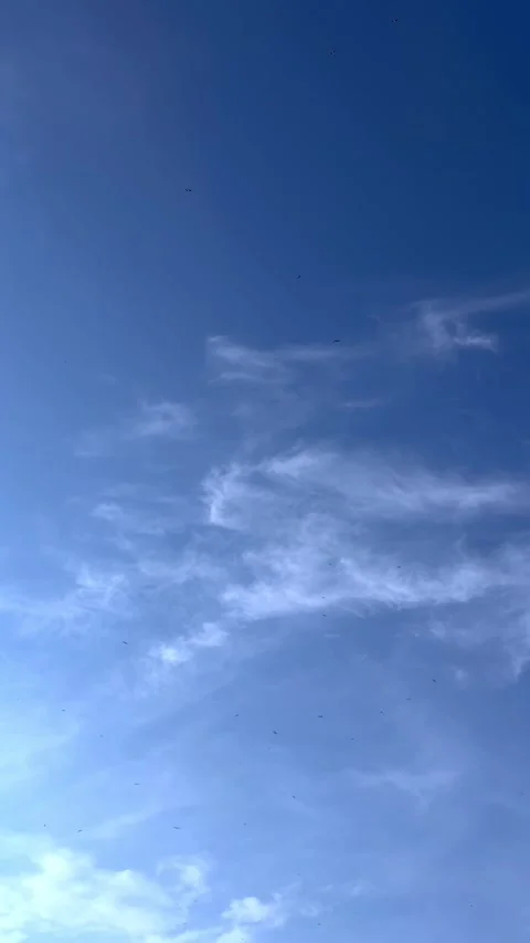 Flock of birds soaring across blue sky with wispy clouds. The video represents c Stock Footage 339696589