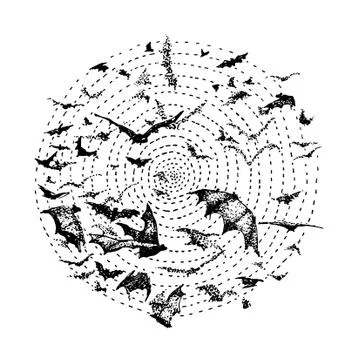 A flock of black bats on a white background, curled around. Hand drawn vector Stock Illustration