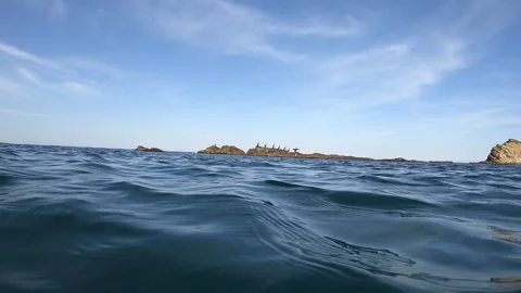 Flock of black cormorants take off from a rock into the sea Stock Footage 130657347