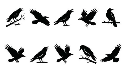 Flock of black crows and ravens in various flying and perched poses. Stock Illustration