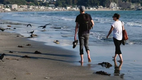 A flock of black crows and a strolling couple at a beach 動画素材 83029918
