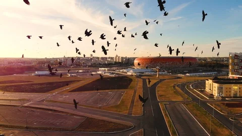 Flock of black crows circling over the city. Taken by drone at sunset Stock Footage 106463423