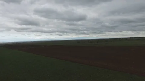 A flock of black crows Stock Footage 62257411