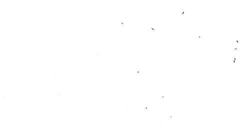 Flock of the crow over the head at top. White background Stock Footage 86792062