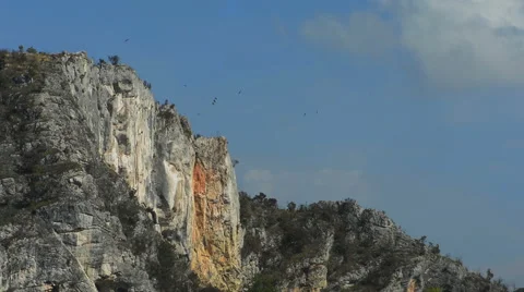 Flock of crows circling mountain peak Stock Footage 43384786