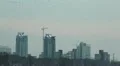 Flock of crows flying in the city. HD Footage