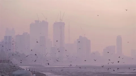 A flock of crows flying in the smog filled Indian city skyline, Mumbai, India Stock Footage 72035667