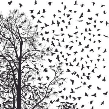 Flock of crows Stock Illustration
