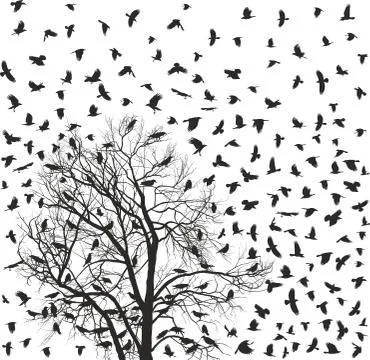 Flock of crows over tree Stock Illustration