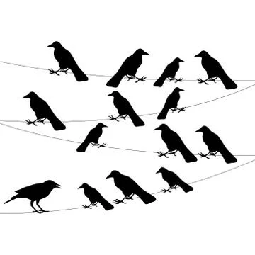 A flock of crows on the wire Stock Illustration