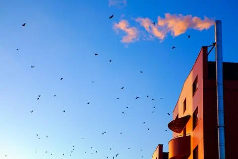 Flock of crowsand chimney Stock Photos