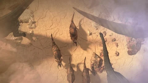 A flock of dinosaurs is walking through the desert top view 3d render Vídeos de archivo 278696920