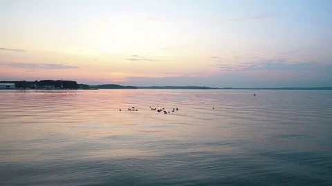 A flock of ducks floating on the lake during sunset,One of the ducks wings 스톡 동영상 79059538