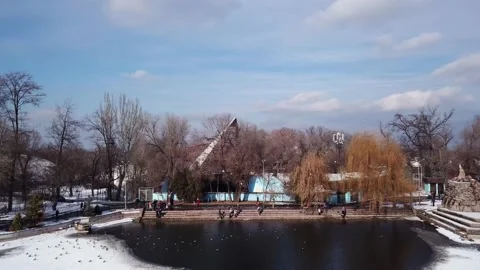 A flock of ducks rests on a freezing pond in Park Video stock 145266273