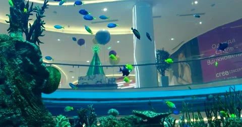 A flock of fish in a panoramic aquarium view from the built-in Elevator Stock Footage 68945934