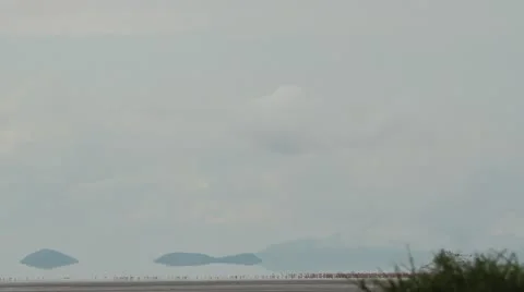 A flock of Flamingos flying off Stock Footage 11307546