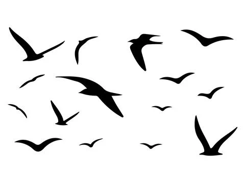 A Flock of Flying Birds Abstract vector illustration of flying birds Stock Illustration