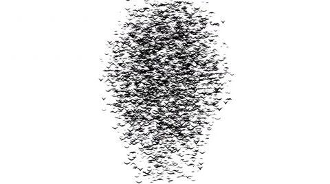 Flock of flying birds forms ghost face, Scream mask Stock Footage 68537628